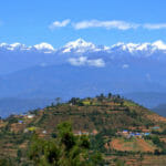 namobuddha123